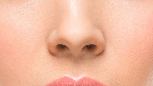 nose-close-today-tease-160211_631286ac703e21e87c2fc7200c6b5511.jpg