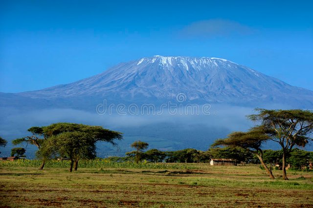 neige-sur-le-mont-kilimandjaro-dans-amboseli-41093425.jpg