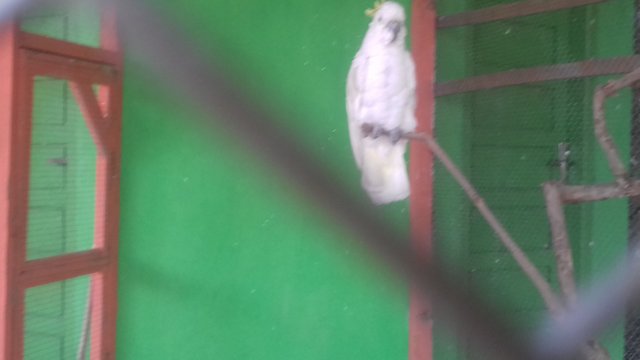 20171225_144714.jpg