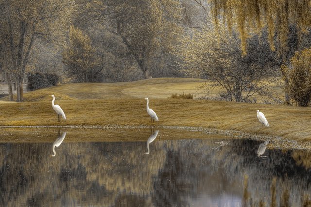 Fujii_E_Guardians_of_the_Lake.jpg