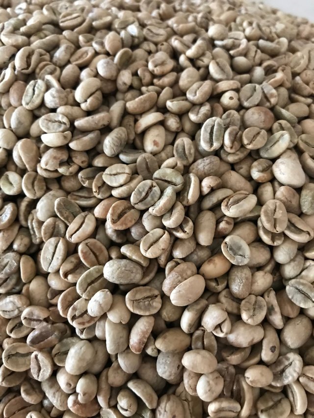 green coffee beans europe