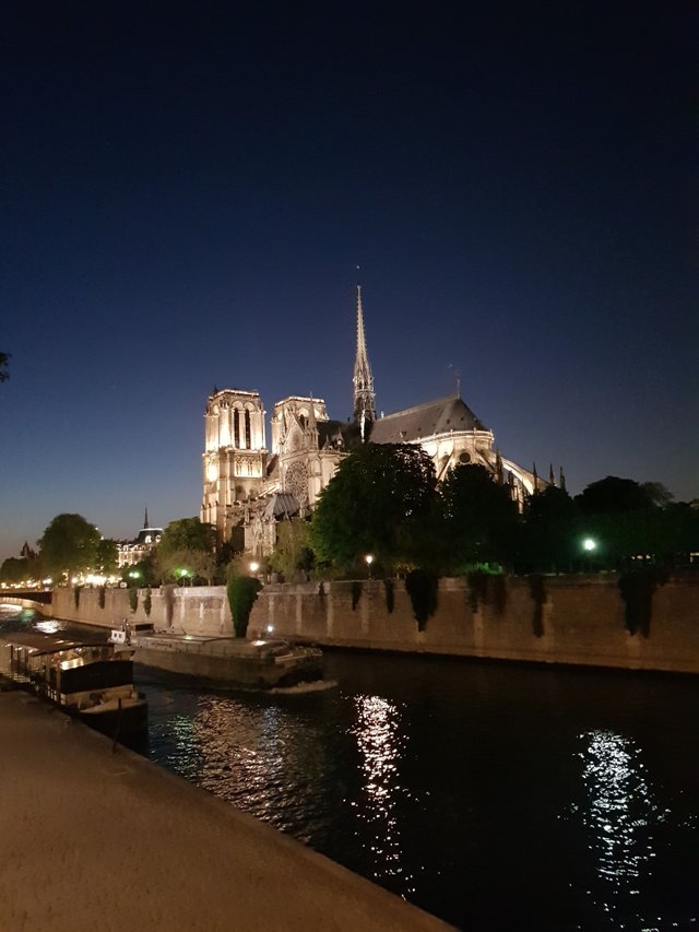 Notre Dame night Paris France steemit Fredrikaa.jpg