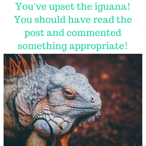 iguana.png