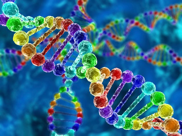 dna-definition-structure-discovery-what-is-dna-steemit