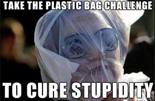 PlasticBagChallenge.JPG