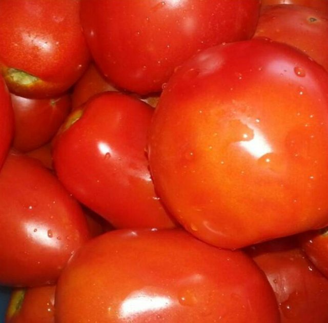 tomatoes1.jpg