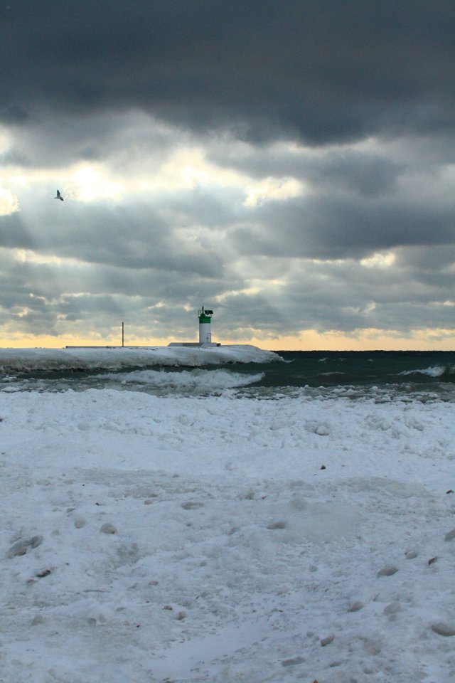 pickering lake shore at the bay jan. 07.18_0207.JPG