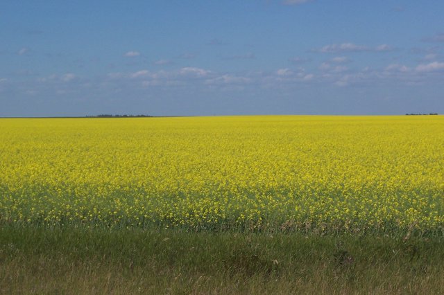 100_6755.jpg