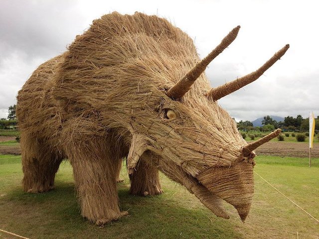 Triceratops photo-Wara Art Masuri.jpg