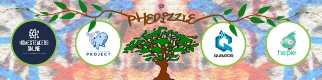 phedizzle-01.jpg