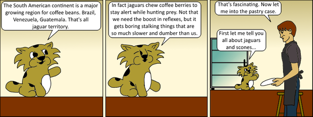 java006 web.png