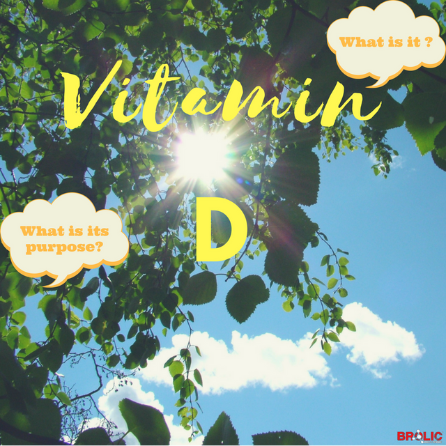 Brolic.org-Vitamin D.png