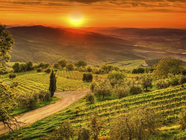 chianti-tuscany-cr-getty.jpg