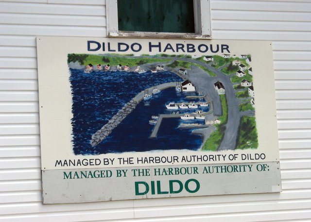 DILDO.jpg