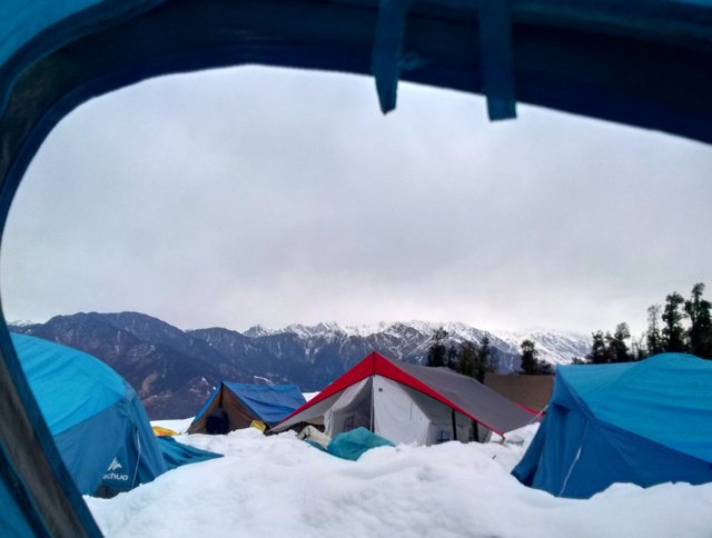 WP_20170129_07_30_51_Pro_LI.jpg