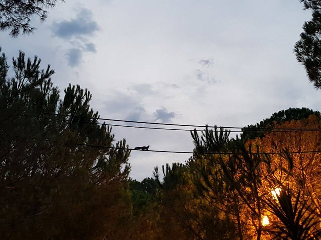 received_10159663293280580.jpeg