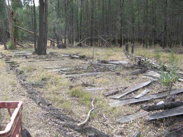 128.JPG