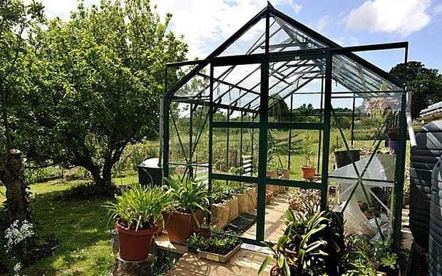 greenhouse_3186681b.jpg