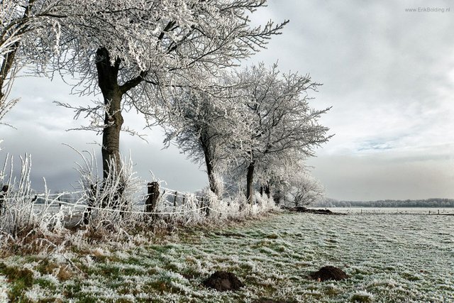 2017WinterlandschapMeppel1.jpg