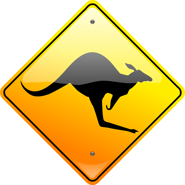 kangaroo-149067_640.png