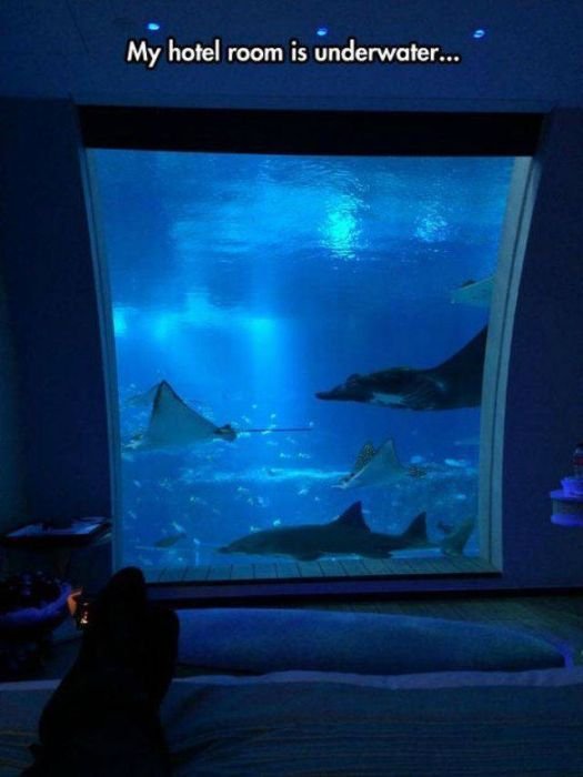 Underwater Hotel Room In Dubai Steemit