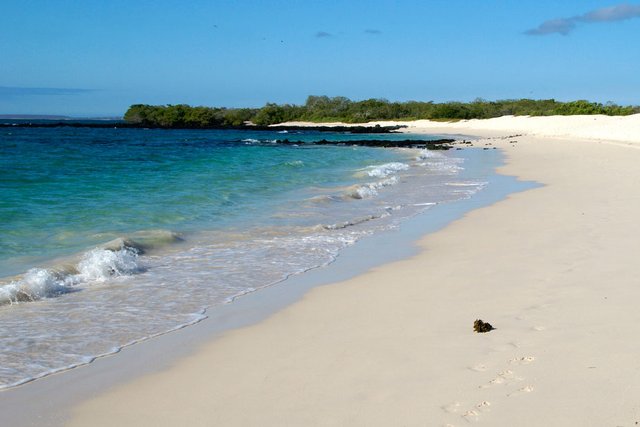 Mejores-playas-de-Ecuador-Galapagos.jpg