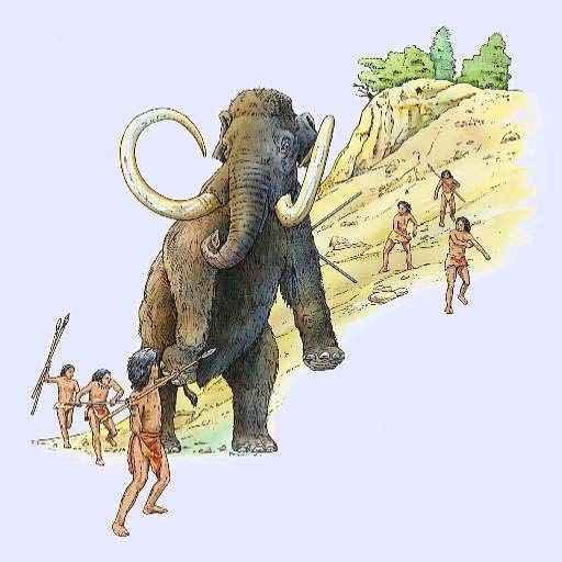 clovismammoth.jpg