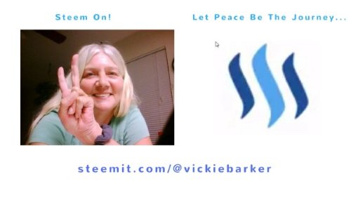 Steemit_VickieBarker_small.jpg