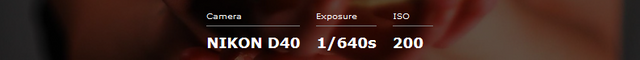 Capture.PNG