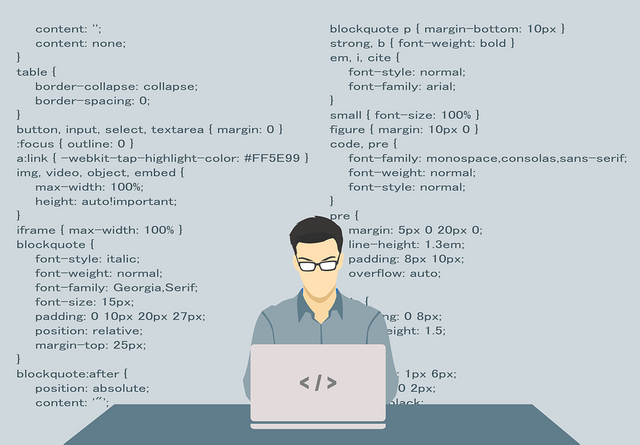 programmer-1653351_960_720.png