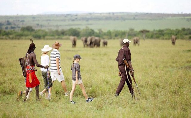 Walking Safaris.jpg
