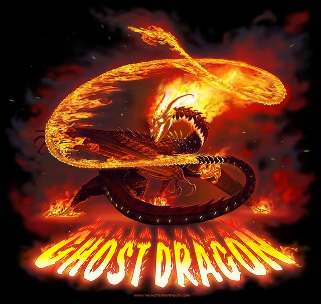 Ghost rider dragon_Shirt resize.jpg