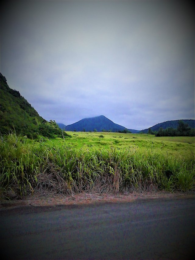 IMG-20170805-WA0008.jpeg
