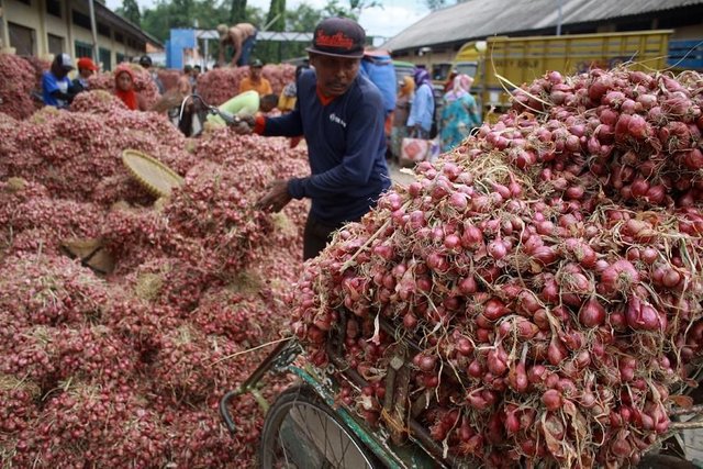 00-08-56-2017-08-28_harga-bawang-merah121.JPG