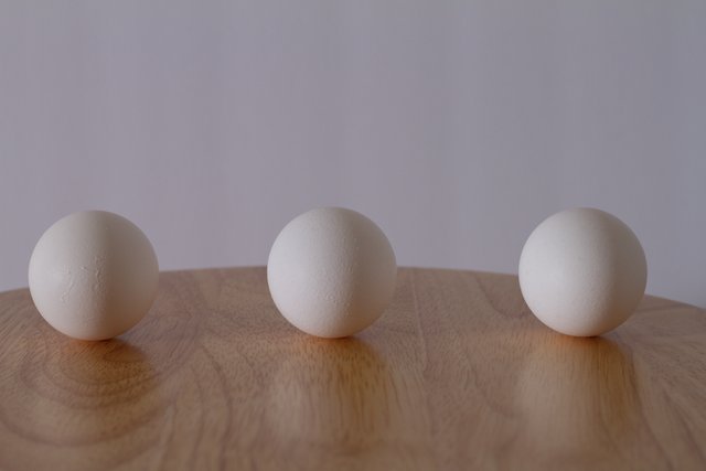 egg-5.jpg