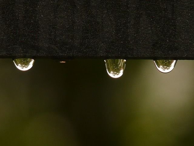 drip-8764_640.jpg