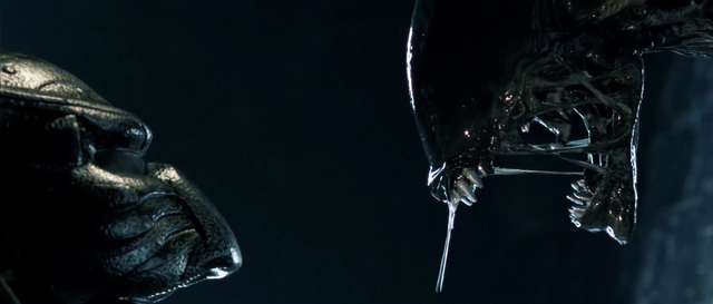 AVP.Alien.vs.Predator.2004.UNRATED.1080p.BluRay.H264.AAC-RARBG.mp4_003588772.png