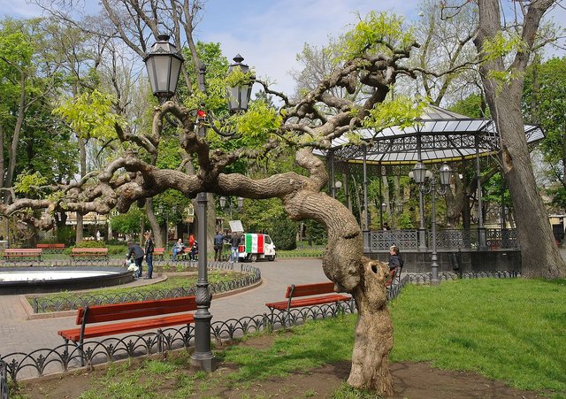Городской_сад_Одессы.jpg