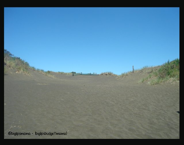 bethells beach dunes.jpg