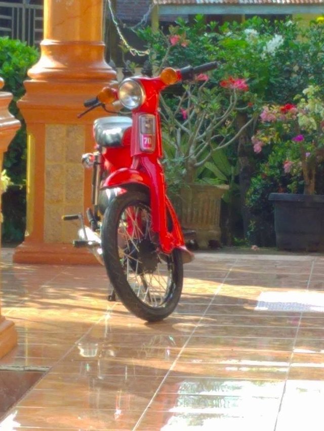 sepeda motor astuti.jpg