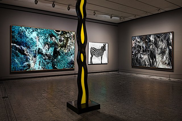 gallery3-35.jpg