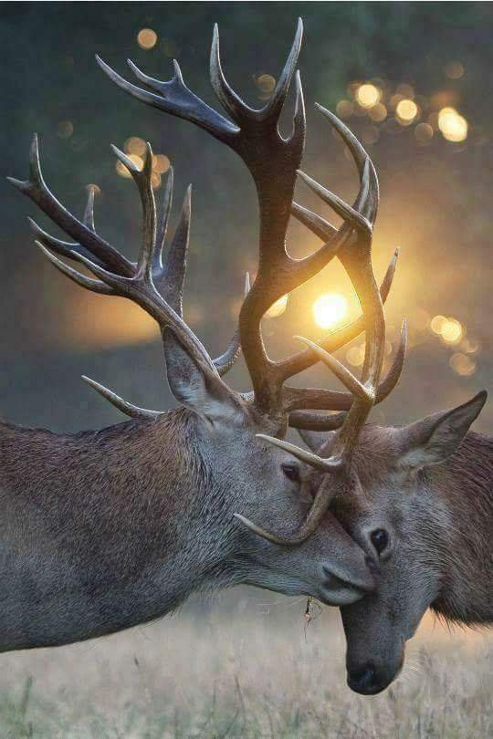 FB_IMG_1513870820078.jpg