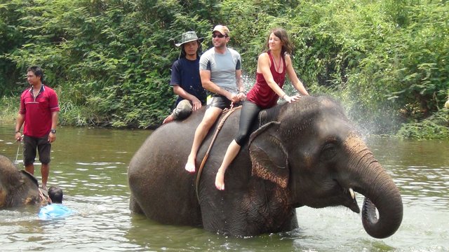 DSI_Thailand-Elephants_01.jpg