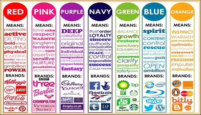 Brand Colors.jpg