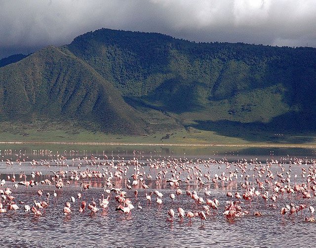 Ngorongoro_Flamingo_Lake.jpg