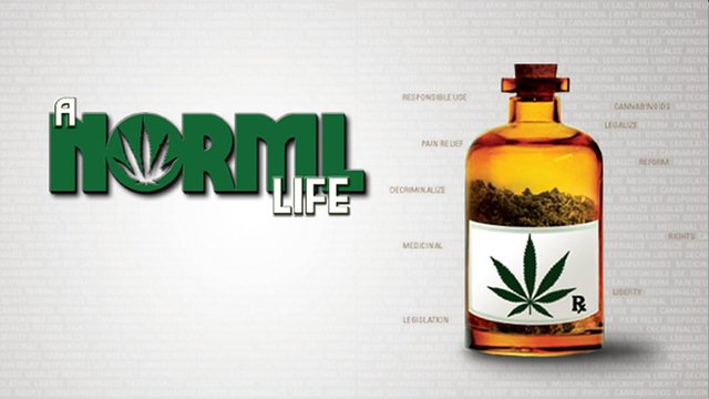 A-NORML-Life-2011.jpg