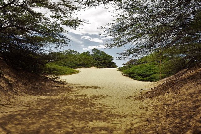 Entrada_al_parque_desde_el_paseo_Monseñor_Iturriza.jpg