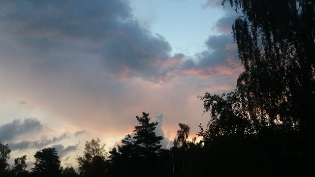 20160731_050316.jpg