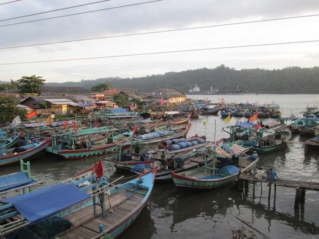 Kampung-laut-cilacap.jpg