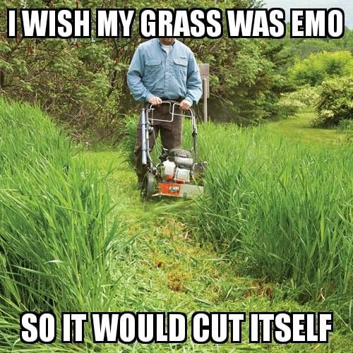 DAMN-LAWN.jpg